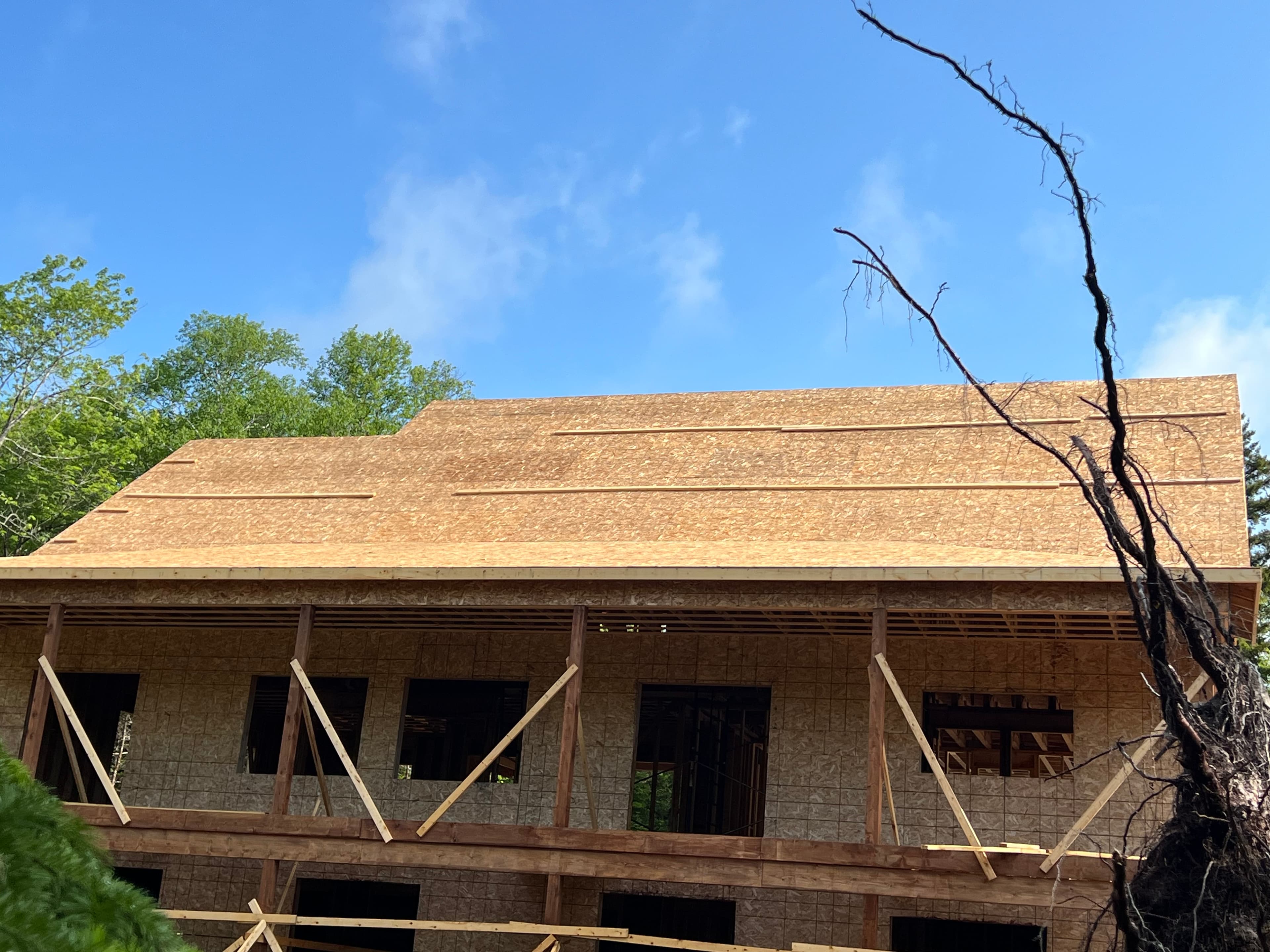 Roofing & Exteriors project photo 22